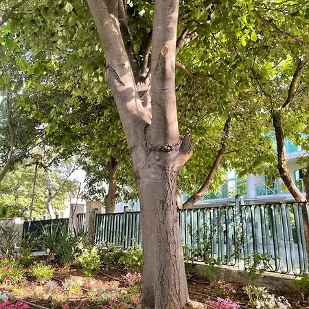 Hotell Amadina Garden Lozenets