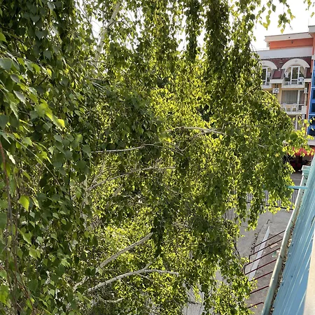 Hotell Amadina Garden *