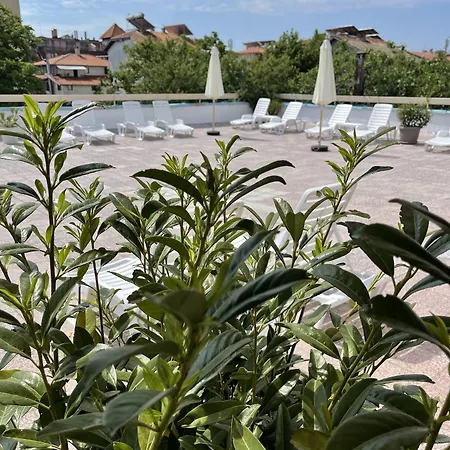 Hotell Amadina Garden *