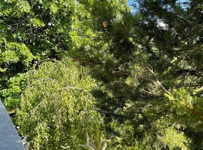 호텔 Amadina Garden *