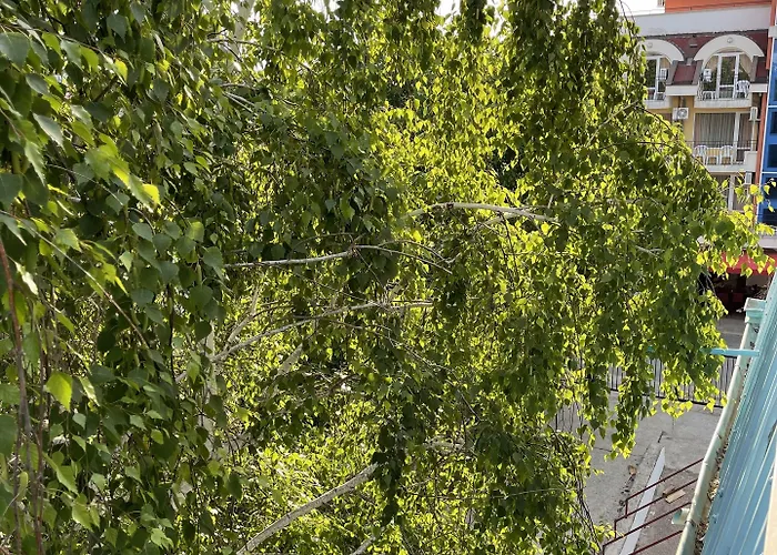 호텔 Amadina Garden *