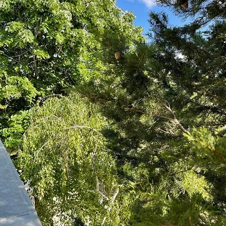 فندق Amadina Garden *