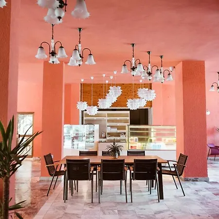 Amadina Garden * Lozenets