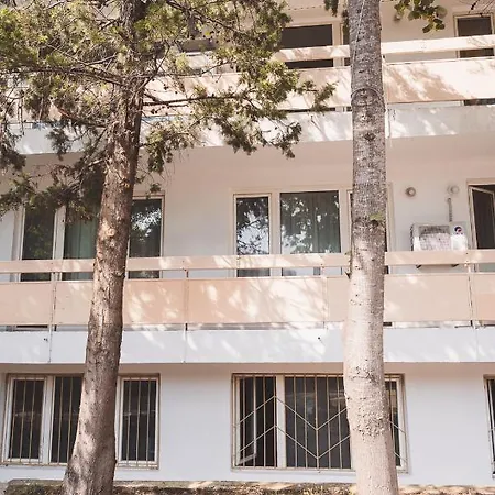 Amadina Garden * Lozenets