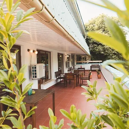 Amadina Garden *
