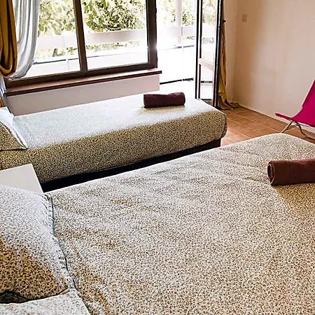 Amadina Garden فندق *