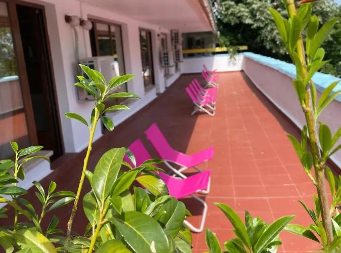 Amadina Garden * 로제넷츠